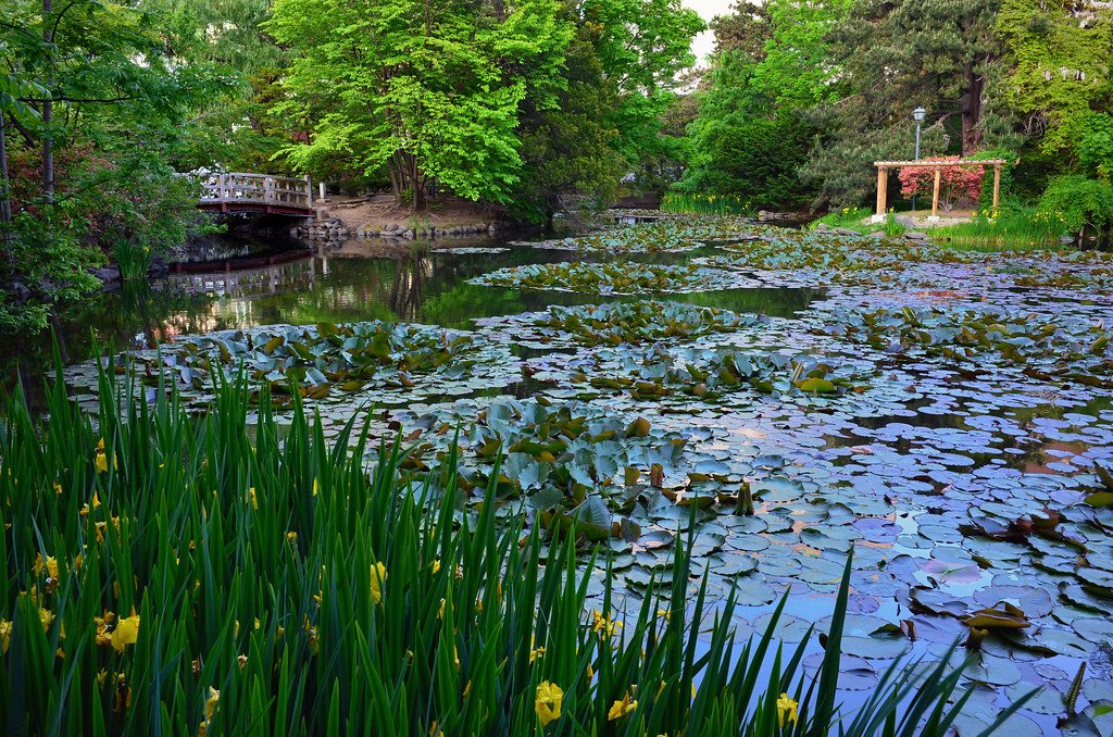 🏛️ 홋카이도청 구 본청사(홋카이도초 아카렌가초샤) 이미지 6